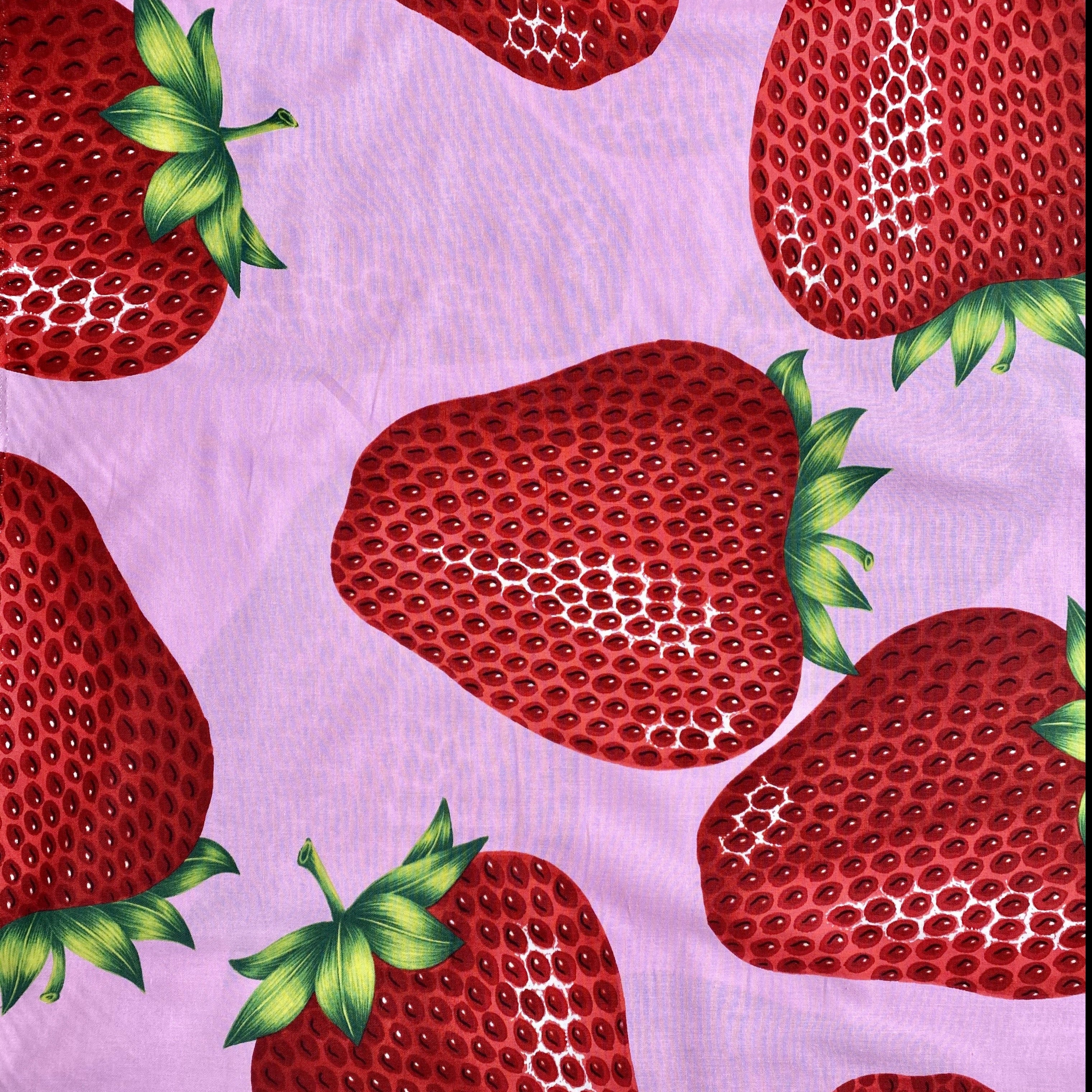 Remnant. 16 x 44 Alexander Henry Very Strawberry Large Graphic Fruit Retro  Cotton Quilting Fabric PCAH331